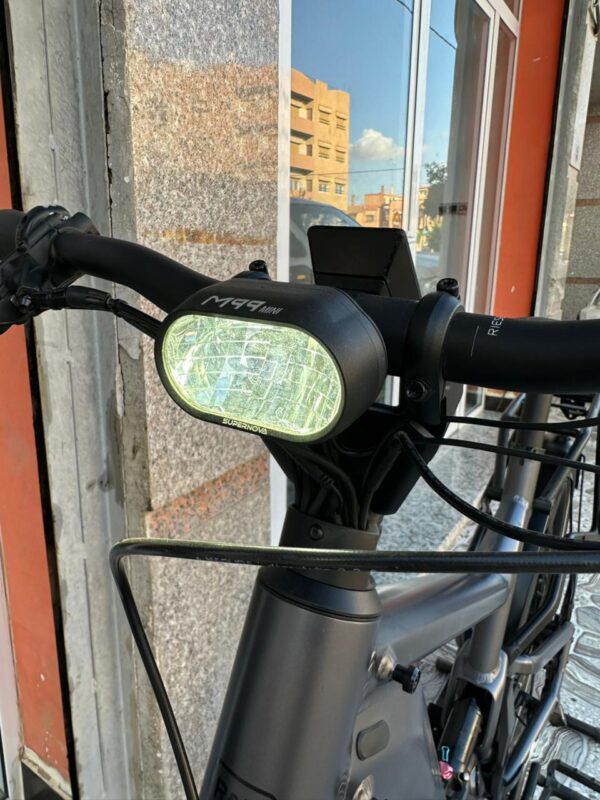 Riese Müller Delite GT Rohloff HS