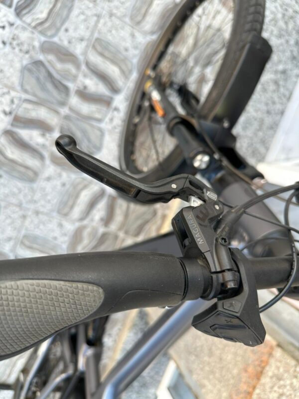 Riese Müller Delite GT Rohloff HS