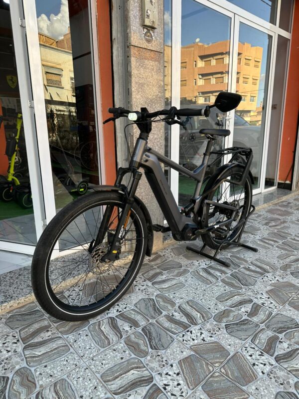 Riese Müller Delite GT Rohloff HS