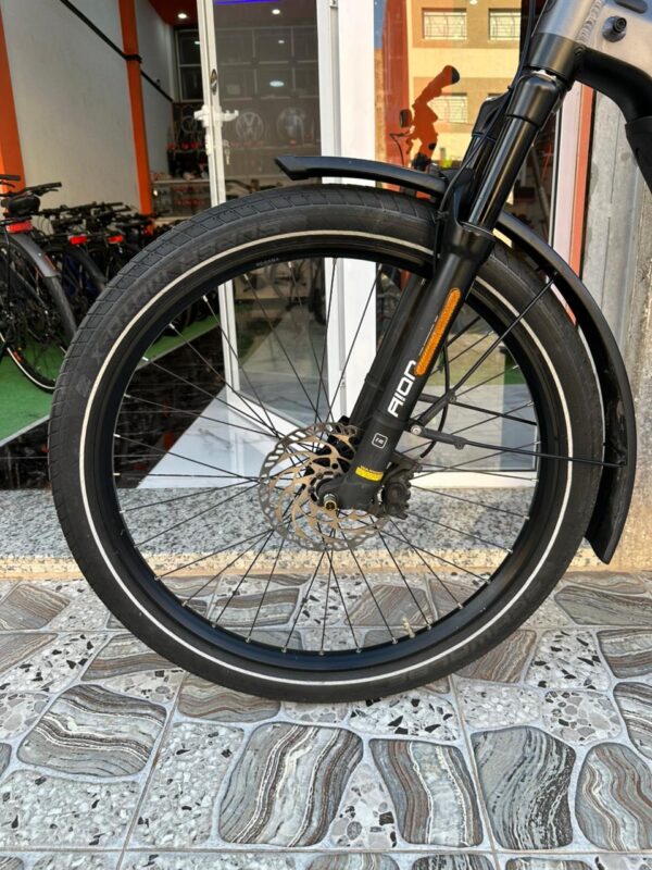 Riese Müller Delite GT Rohloff HS