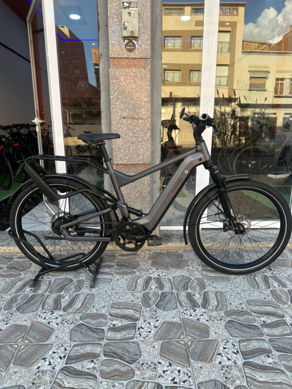 Riese Müller Delite GT Rohloff HS