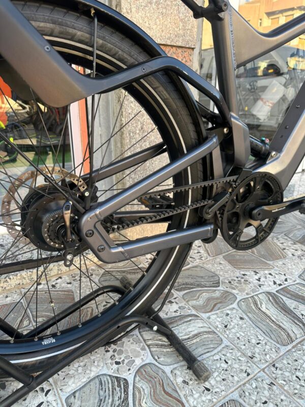 Riese Müller Delite GT Rohloff HS