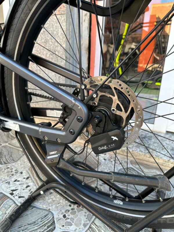 Riese Müller Delite GT Rohloff HS