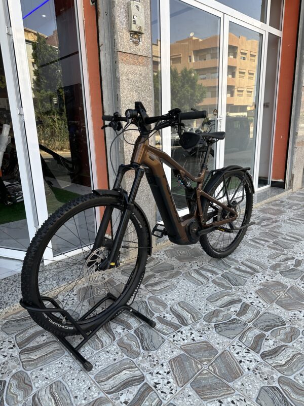 Focus Thron2 6.8 EQP 750Wh Gold Brown