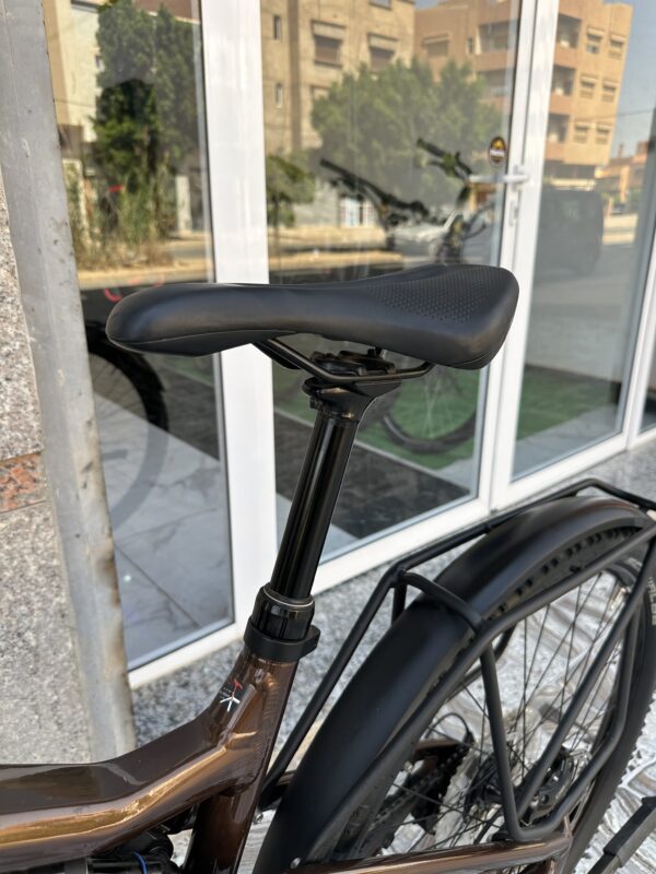 Focus Thron2 6.8 EQP 750Wh Gold Brown