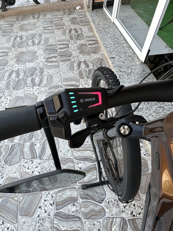 Focus Thron2 6.8 EQP 750Wh Gold Brown