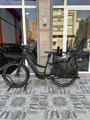 Riese & Muller Multicharger