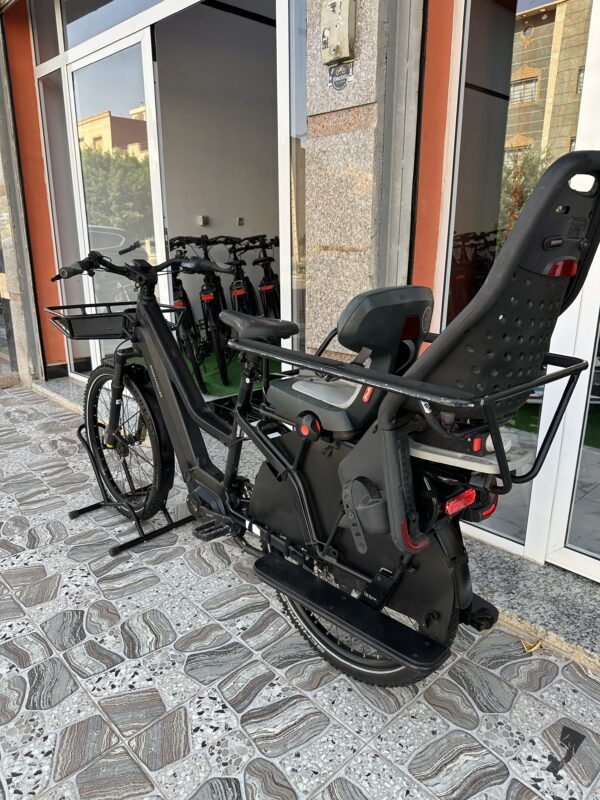 Riese & Muller Multicharger