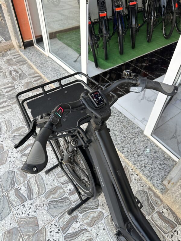 Riese & Muller Multicharger