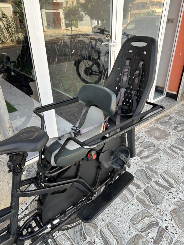 Riese & Muller Multicharger