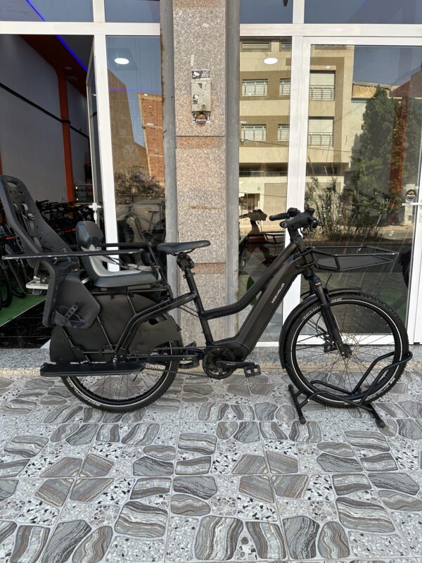 Riese & Muller Multicharger