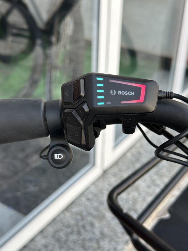 Riese & Muller Multicharger