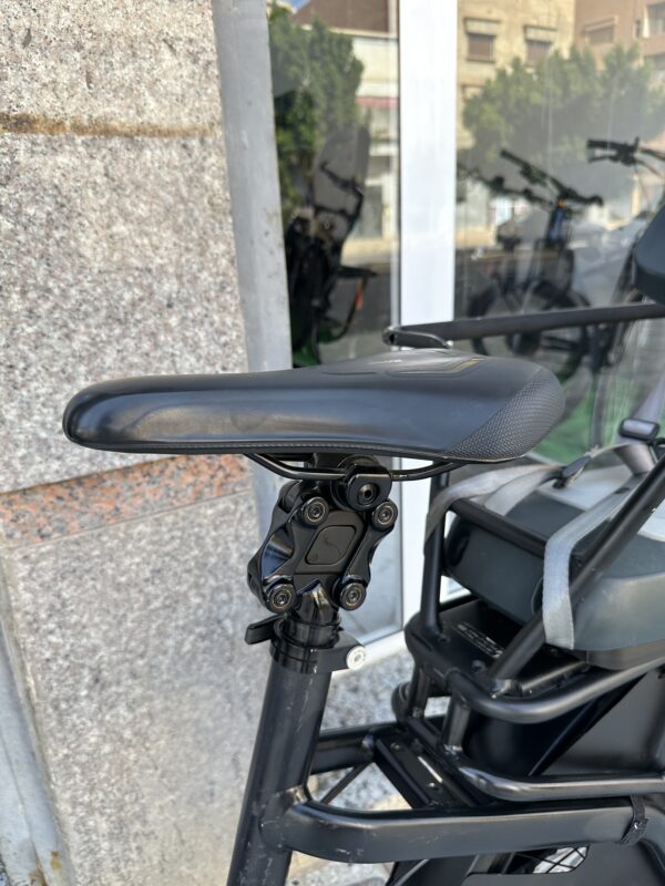 Riese & Muller Multicharger