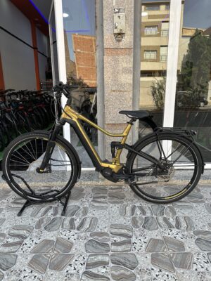 Bergamont E-Horizon FS Edition