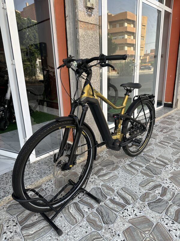 Bergamont E-Horizon FS Edition