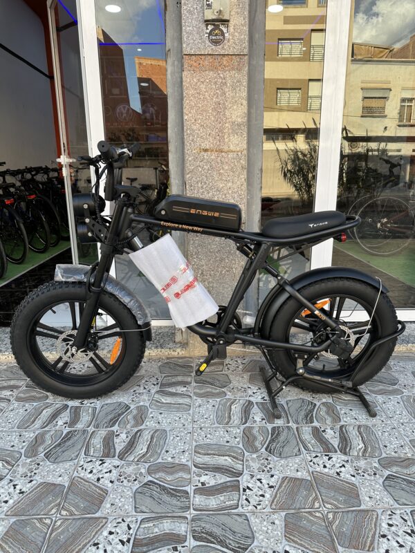 Engwe M20 Double Battery