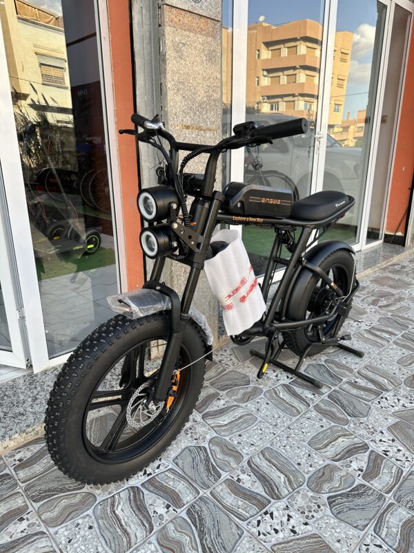 Engwe M20 Double Battery