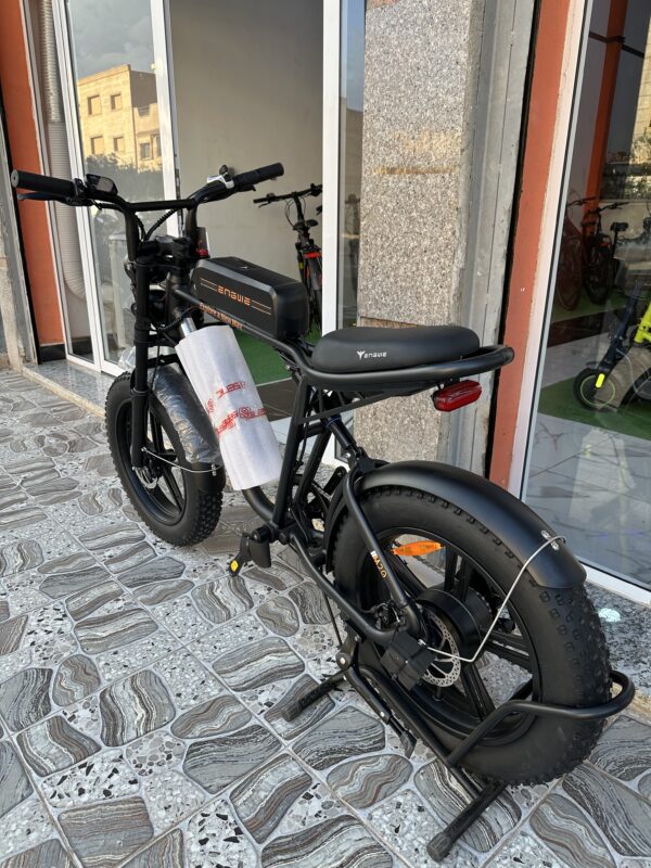 Engwe M20 Double Battery