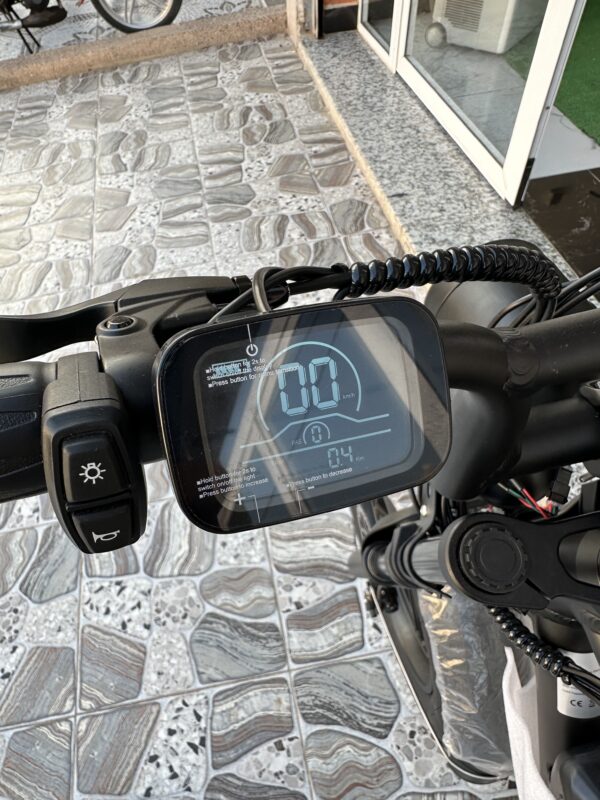 Engwe M20 Double Battery