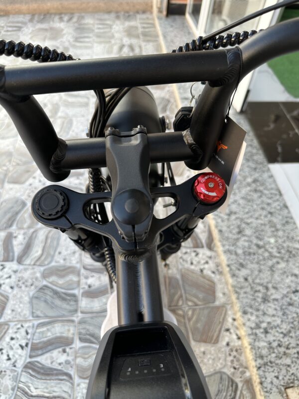 Engwe M20 Double Battery