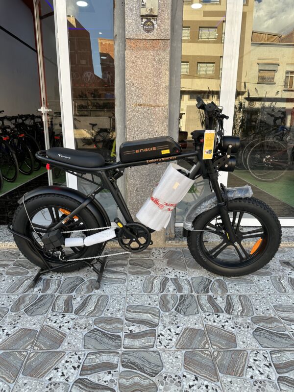 Engwe M20 Double Battery