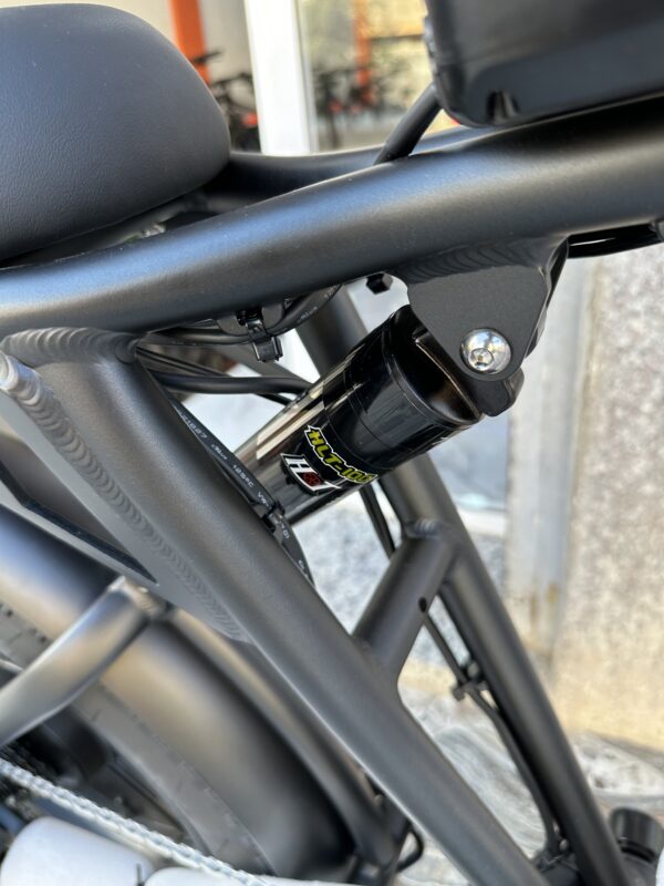 Engwe M20 Double Battery