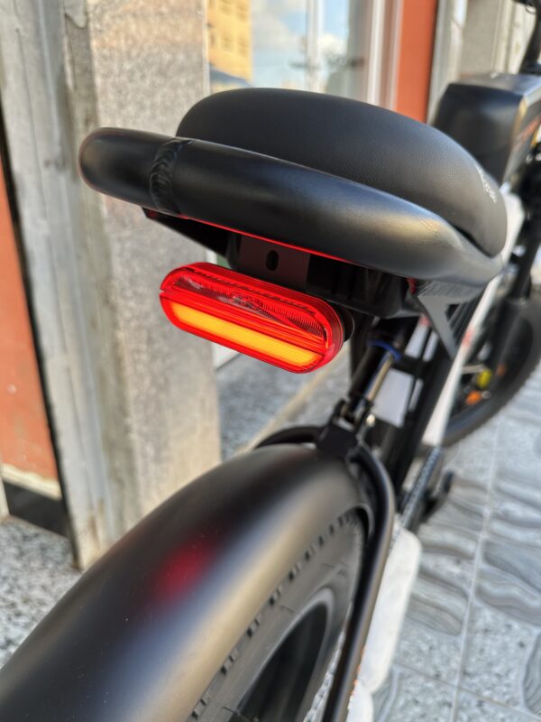 Engwe M20 Double Battery